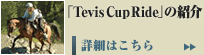 uTevis Cup Ridev̏Љ